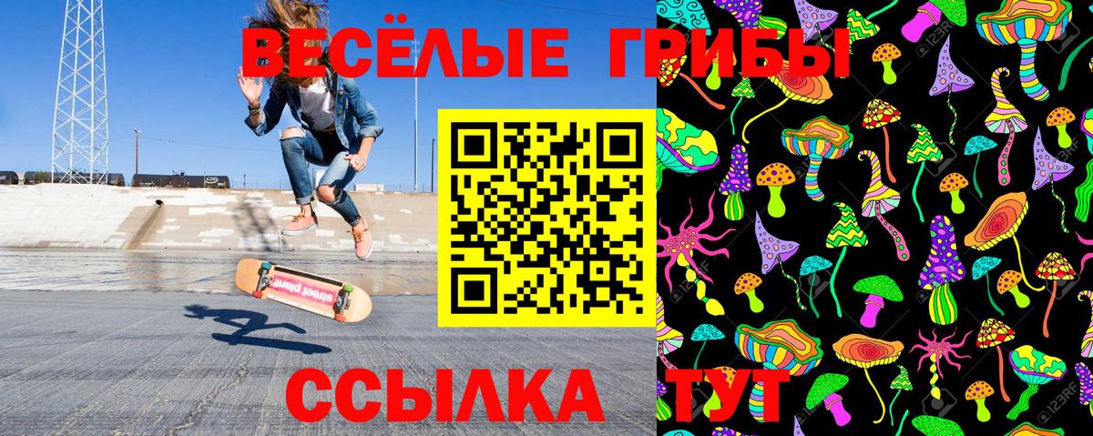 Анжеро-Судженск  Псилоцибиновые грибы прущие грибы  Вход с VPN 